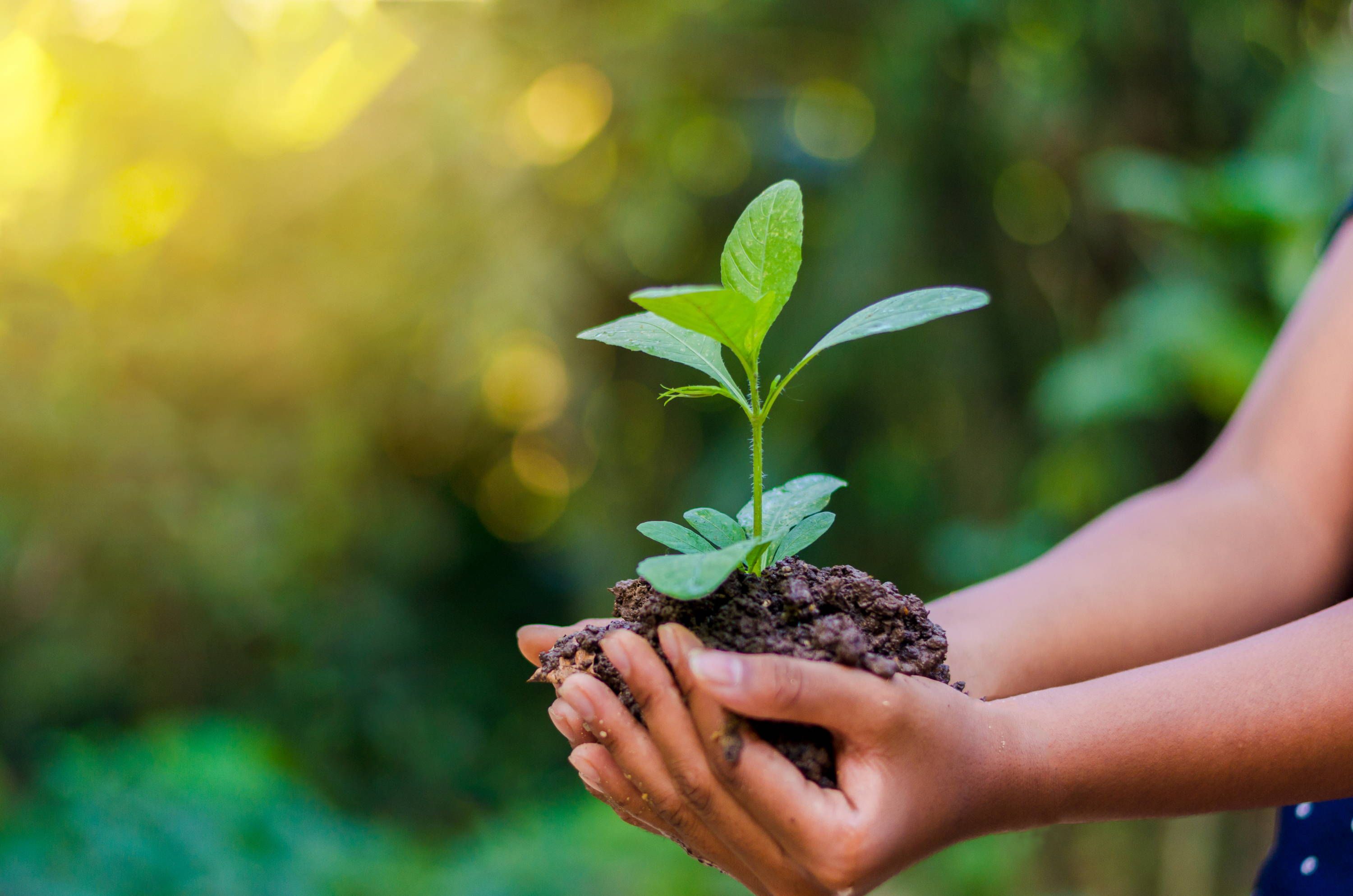 Licenses and Recommendation of Pesticides